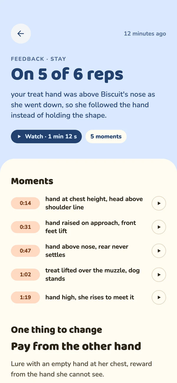 Fetch feedback on a stay: what went well, the moments to watch, and one thing to change