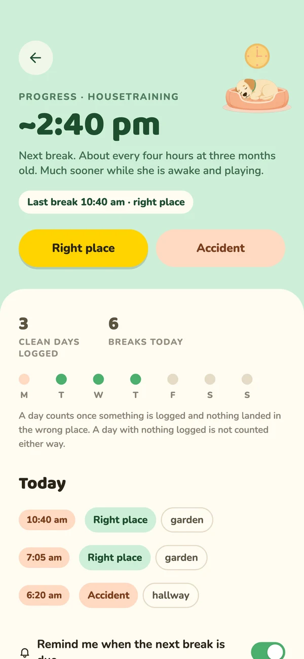 The house-training log showing the next break at 2:40 pm and today’s breaks