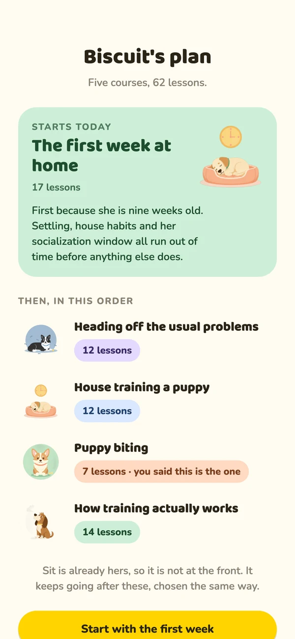 Biscuit’s plan: five courses in order, starting with the first week at home